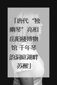 唐代“独幽琴”亮相岳阳楼博物馆 千年琴韵洞庭湖畔苏醒