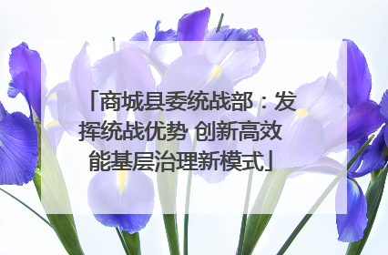 商城县委统战部：发挥统战优势 创新高效能基层治理新模式