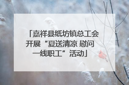 嘉祥县纸坊镇总工会开展“夏送清凉 慰问一线职工”活动