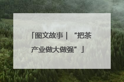 图文故事｜“把茶产业做大做强”