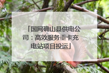 国网确山县供电公司：高效服务重卡充电站项目投运