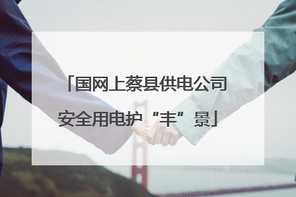 国网上蔡县供电公司安全用电护“丰”景