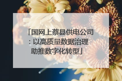 国网上蔡县供电公司：以高质量数据治理 助推数字化转型