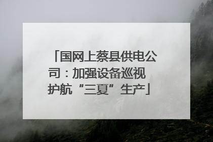 国网上蔡县供电公司：加强设备巡视 护航“三夏”生产