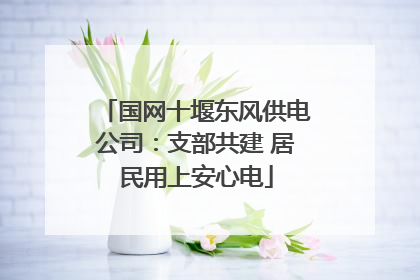 国网十堰东风供电公司：支部共建 居民用上安心电