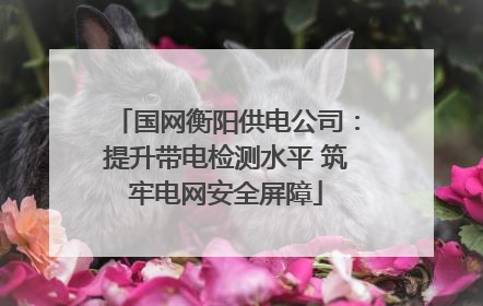 国网衡阳供电公司：提升带电检测水平 筑牢电网安全屏障