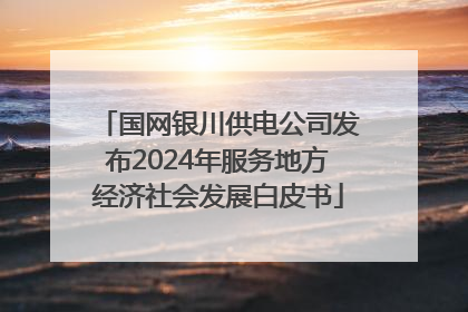 国网银川供电公司发布2024年服务地方经济社会发展白皮书