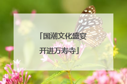 国潮文化盛宴开进万寿寺
