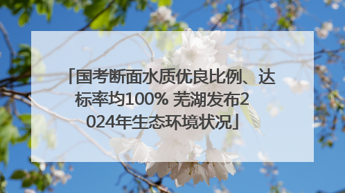 国考断面水质优良比例、达标率均100% 芜湖发布2024年生态环境状况