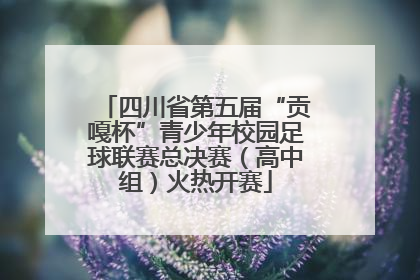 四川省第五届“贡嘎杯”青少年校园足球联赛总决赛（高中组）火热开赛