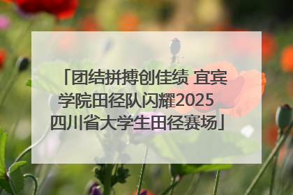 团结拼搏创佳绩 宜宾学院田径队闪耀2025四川省大学生田径赛场