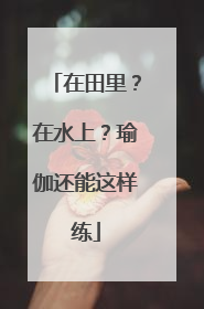 在田里？在水上？瑜伽还能这样练