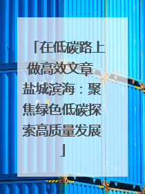 在低碳路上做高效文章 盐城滨海：聚焦绿色低碳探索高质量发展