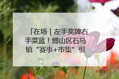 在场｜左手奖牌右手菜篮！博山区石马镇“赛事+市集”引燃周末经济