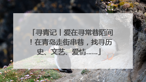 寻青记丨爱在寻常巷陌间！在青岛走街串巷，找寻历史、文艺、爱情……
