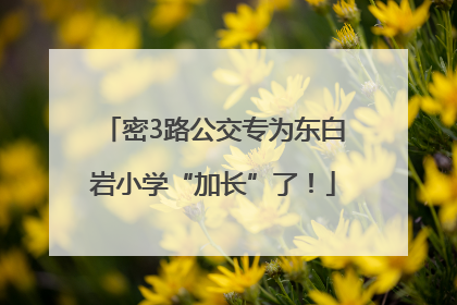 密3路公交专为东白岩小学“加长”了！