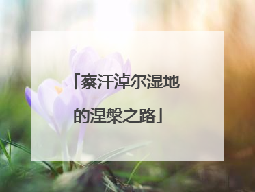 察汗淖尔湿地的涅槃之路