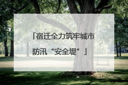 宿迁全力筑牢城市防汛“安全堤”