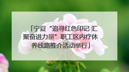 宁夏“追寻红色印记 汇聚奋进力量”职工区内疗休养线路推介活动举行