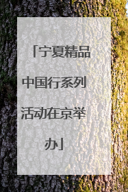 宁夏精品中国行系列活动在京举办