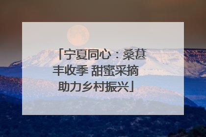 宁夏同心：桑葚丰收季 甜蜜采摘助力乡村振兴