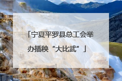 宁夏平罗县总工会举办插秧“大比武”