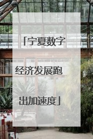 宁夏数字经济发展跑出加速度