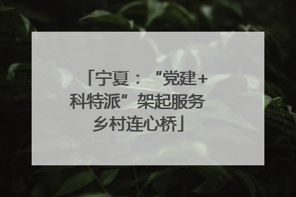 宁夏：“党建+科特派”架起服务乡村连心桥