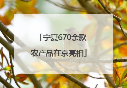 宁夏670余款农产品在京亮相