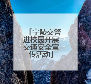 宁陵交警进校园开展交通安全宣传活动