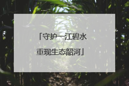 守护一江碧水 重现生态韶河