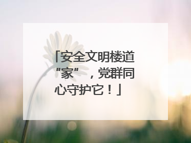 安全文明楼道“家”，党群同心守护它！