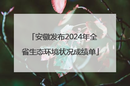 安徽发布2024年全省生态环境状况成绩单