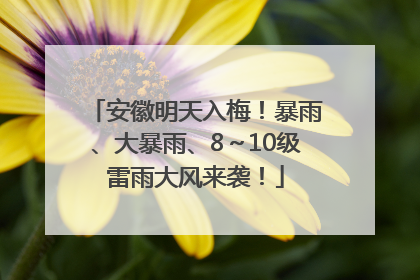 安徽明天入梅！暴雨、大暴雨、8～10级雷雨大风来袭！