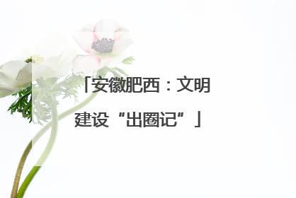 安徽肥西：文明建设“出圈记”