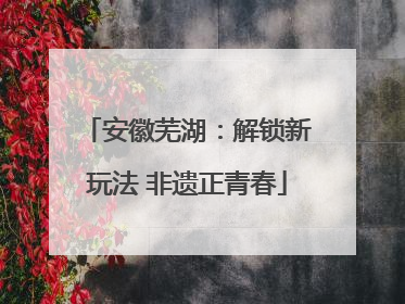 安徽芜湖：解锁新玩法 非遗正青春