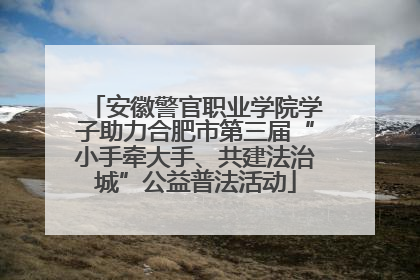 安徽警官职业学院学子助力合肥市第三届“小手牵大手、共建法治城”公益普法活动