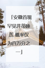 安徽首现罕见并蒂睡莲 概率仅为百万分之一