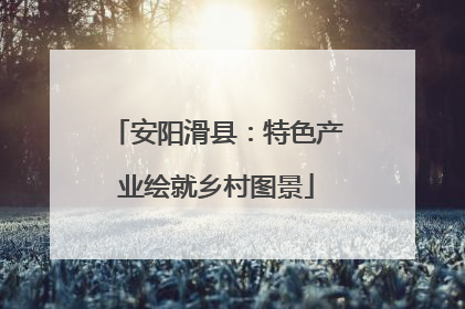 安阳滑县：特色产业绘就乡村图景