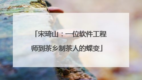 宋琦山：一位软件工程师到茶乡制茶人的蝶变