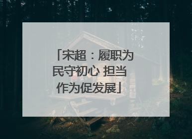 宋超：履职为民守初心 担当作为促发展