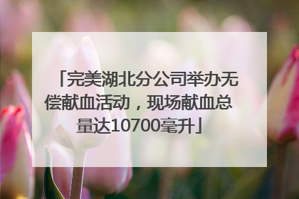完美湖北分公司举办无偿献血活动，现场献血总量达10700毫升