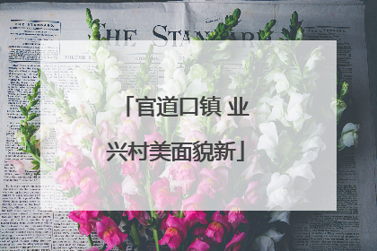 官道口镇 业兴村美面貌新