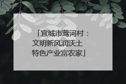 宜城市莺河村：文明新风润沃土 特色产业富农家