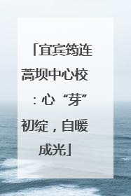 宜宾筠连蒿坝中心校：心“芽”初绽，自暖成光