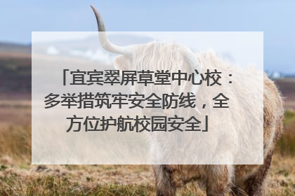 宜宾翠屏草堂中心校：多举措筑牢安全防线，全方位护航校园安全