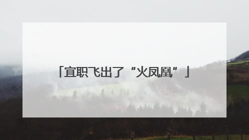 宜职飞出了“火凤凰”