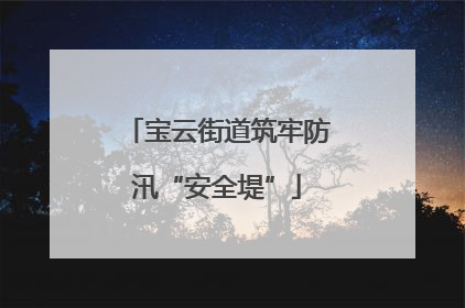 宝云街道筑牢防汛“安全堤”