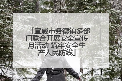 宣威市务德镇多部门联合开展安全宣传月活动 筑牢安全生产人民防线
