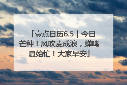 壹点日历6.5｜今日芒种！风吹麦成浪，蝉鸣夏始忙！大家早安